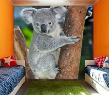 3D Gray Koala O228 Animal Wallpaper Wall Murals Removable Wallpaper Eve 2023