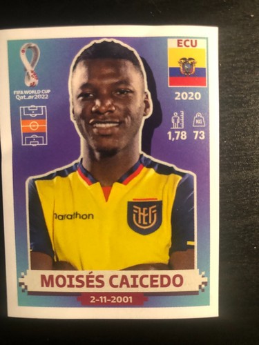Panini FIFA World Cup Qatar 2022 Hardcover Sports Sticker