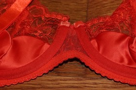 BNWT Dita Von Teese Tryst Balconette Bra MSRP $75!!!