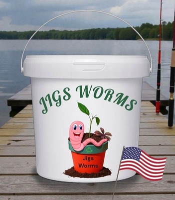 (JIGS) 100 LIVE European Night Crawlers, Medium Sized, Bait.  No Manure!