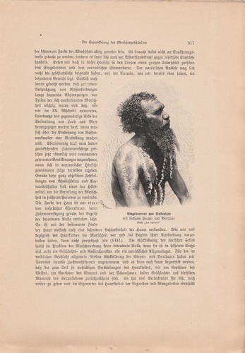 Alte ANTIKE KUNSTDRUCKE von 1902 aus Wissenschafts-Magazinen ECHT Buchseiten A4 - Bild 22 von 24
