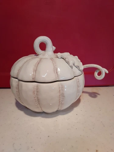 MIKASA Countryside Harvest Dolomite 9.5" Pumpkin Soup Tureen With Lid & Ladle