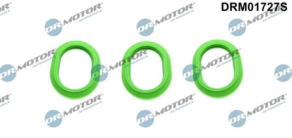 Dr.Motor Automotive DRM01727S Dichtungssatz, AnsaugkrüMmer Oben FüR-image