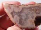 Morocco Agate lapidary 3.8 oz  Nodule faced rough lot Av — photo 2