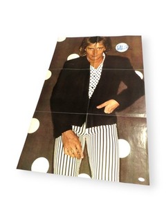 Rod Stewart Signed Autographed 24X36 Poster Vintage Striped Pants JSA AZ15286