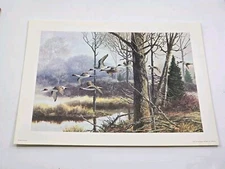 Vintage Art Print  11 X 14 inches Waterfowl Ducks Remington Wildlife Collection