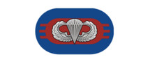 4" 501st airborne infantry 3rd battalion army bumper sticker decal usa made