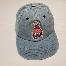 Sherwin Williams Vintage Denim Hat Snapback Cap Blue Jean Paint Cover The Earth