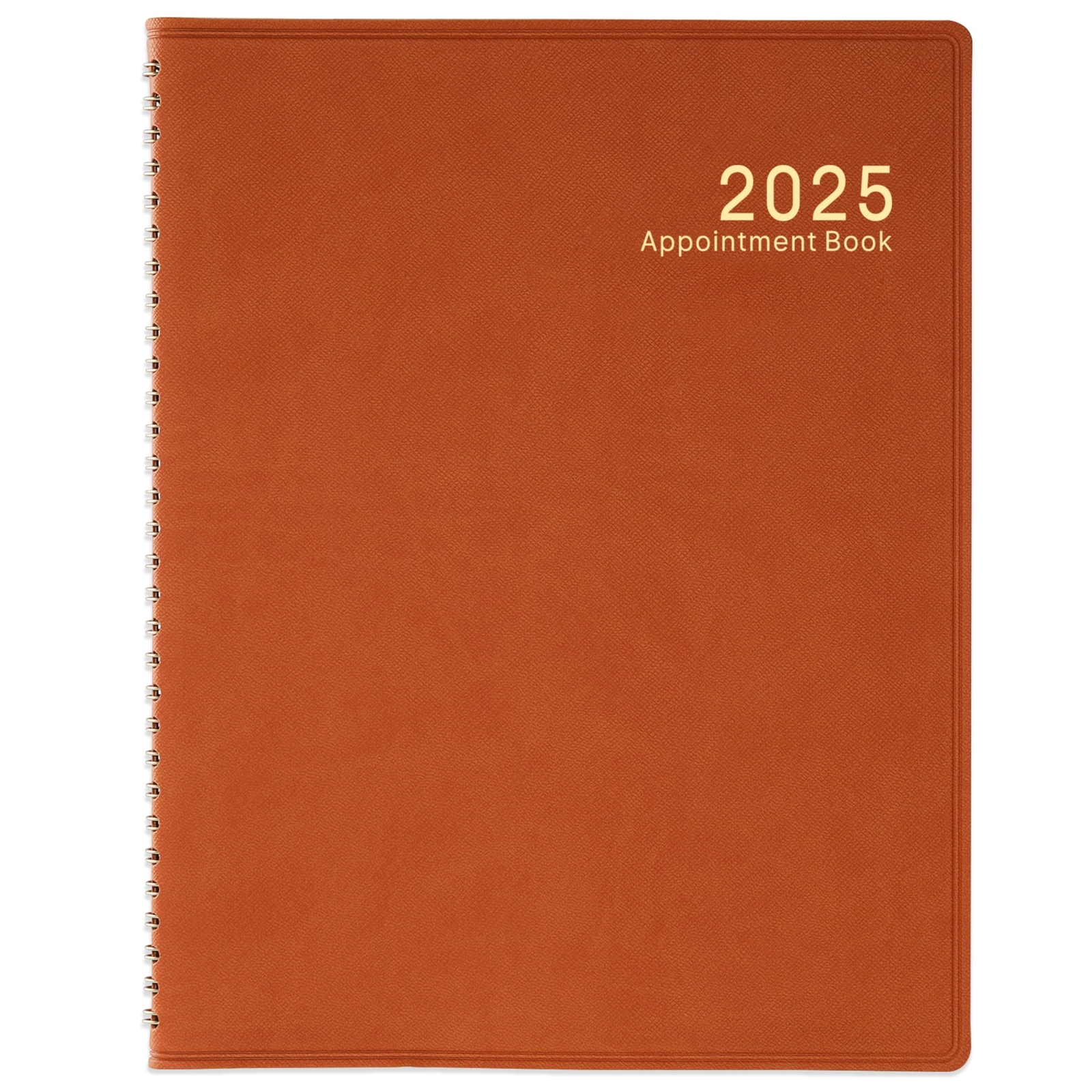 2025 Weekly Appointment Book/Planner - JANUARY - DECEMBER 2025 53 Weeks Daily...
