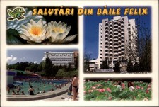 Baile Felix Oradea Romania vintage postcard b525