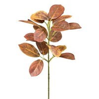 Artplants KüNstlicher Zweig PerüCkenstrauch Sulkon, Braun-Rot, 40Cm