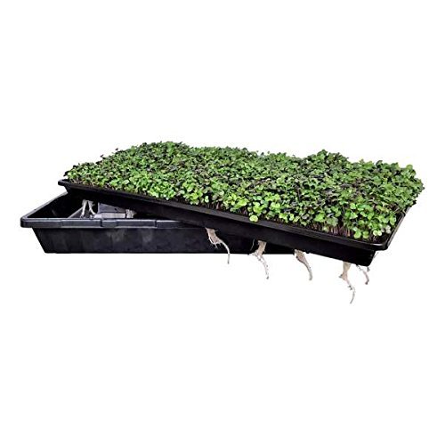 extra strength 5 pack shallow seed starting 1020 plant tray for