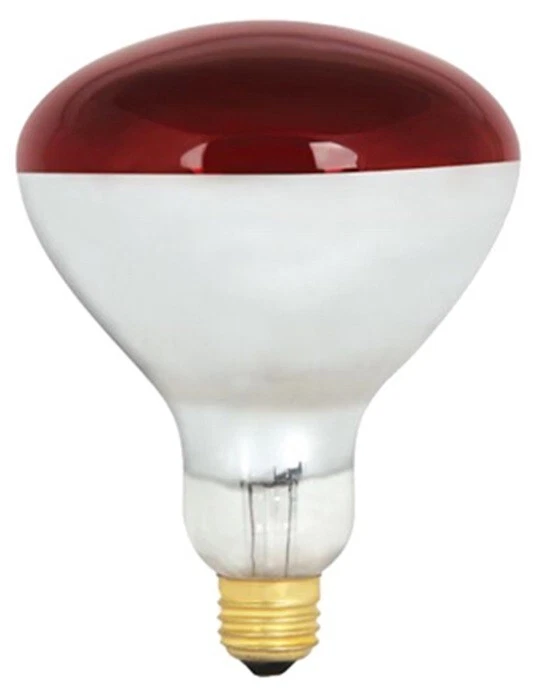 Satco S4998 250 Watt R40 Red Heat Lamp Bulbs - Pack of 12 - Image 2 of 3