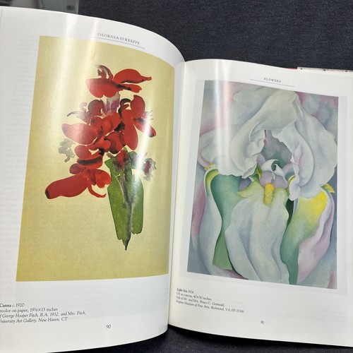 Georgia O'Keeffe Maria Costantino Hardback 1994 Like New - Picture 19 of 24