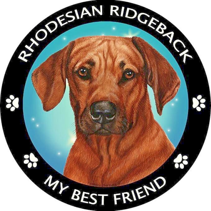 Limited RHODESIAN RIDGEBACK PET DOG ANIMAL Pendant 925 Sterling