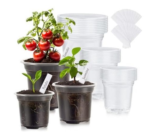 WandaQueen 30 Packs Clear Nursery Pots for Plants, 3.5/4/5  Assorted Colors