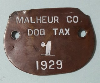 1929 Malheur County Oregon DOG TAX dog license tag w/ serial #1 exonumia