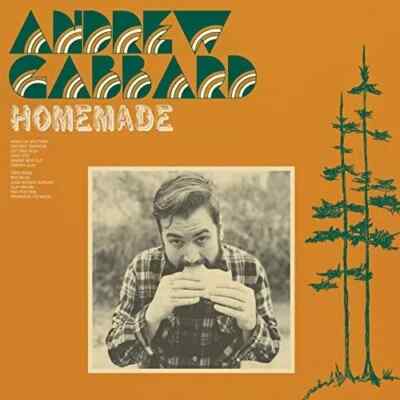 Andrew Gabbard : Homemade (CD) New and Sealed