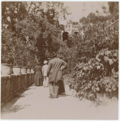 Garten, Luzern Oder Environs. Suisse. Switzerland. Druck Citrat Circa 1900