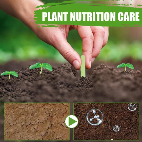 Plant Slow-release Nutrition Stick Plant Flower Bud Potted Special Fertilizer - Picture 8 of 8