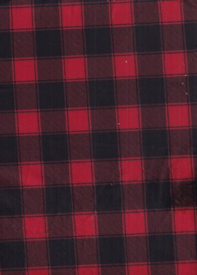 MINKY Timeless Treasures Christmas Softie Red Buffalo Check