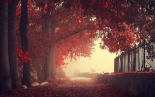 Landscape fall fence trees wall mist leaves red park Custom Gaming Mat Desk