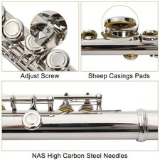 Plated School Band Student 16 Hole C Flute Set for Beginner