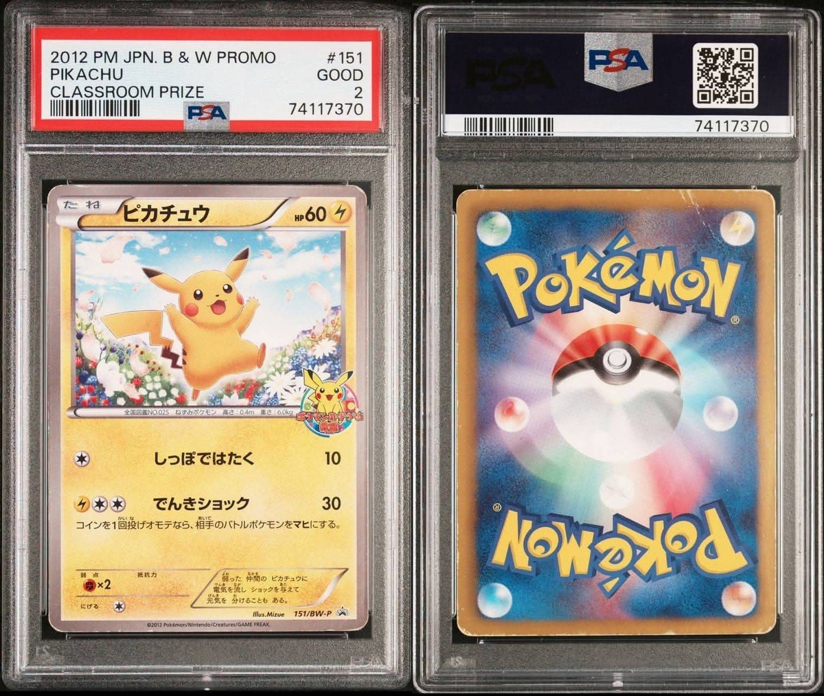 Pikachu - 151/BW-P 151/BW-P BW-P Promotional cards Regular