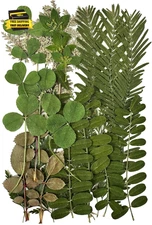 Dried Pressed Flowers for Resin, Real Pressed Flowers Dry Leaves Bulk Natural He