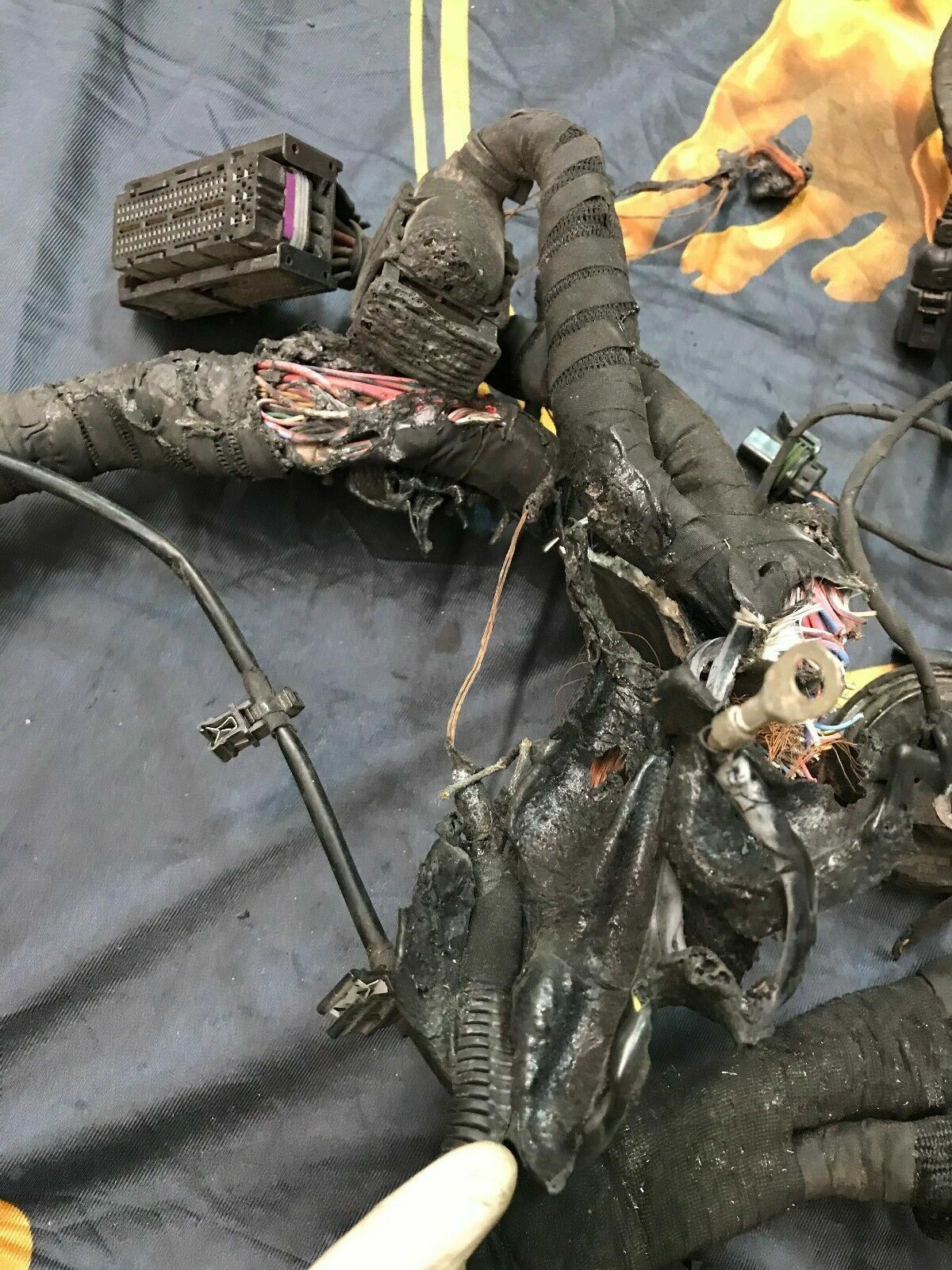 LAMBORGHINI GALLARDO 550 560 570 MAIN ENGINE WIRE HARNESS E-GEAR OEM 400971713C