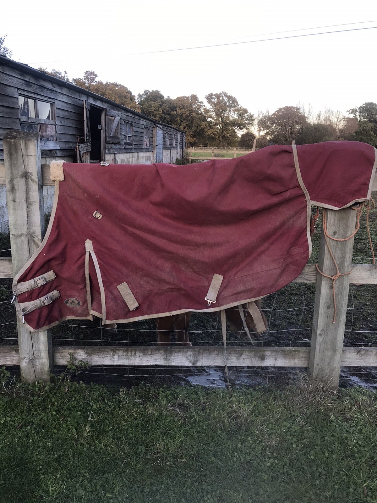 5ft Ruggles waterproof turnout pony rug lightly used eBay