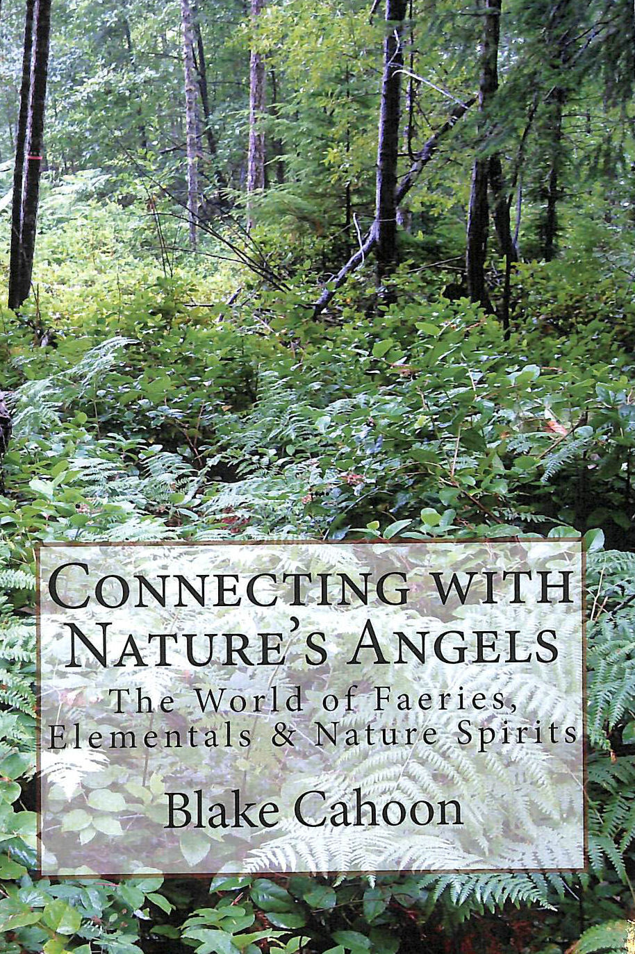 Connecting with Nature's Angels: The World of Faeries, Elementals & Nature Spi..