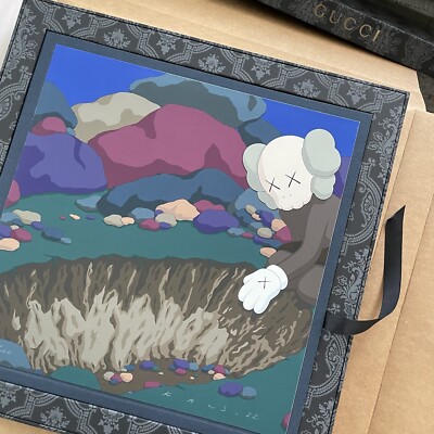 NTWRK Snoop Dogg DoggyStyle KAWS レコード 限定 Snoop Doggy Dogg DoggyStyle KAWS Gallery Picture LP VINYL