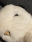 Bild 6 von 11