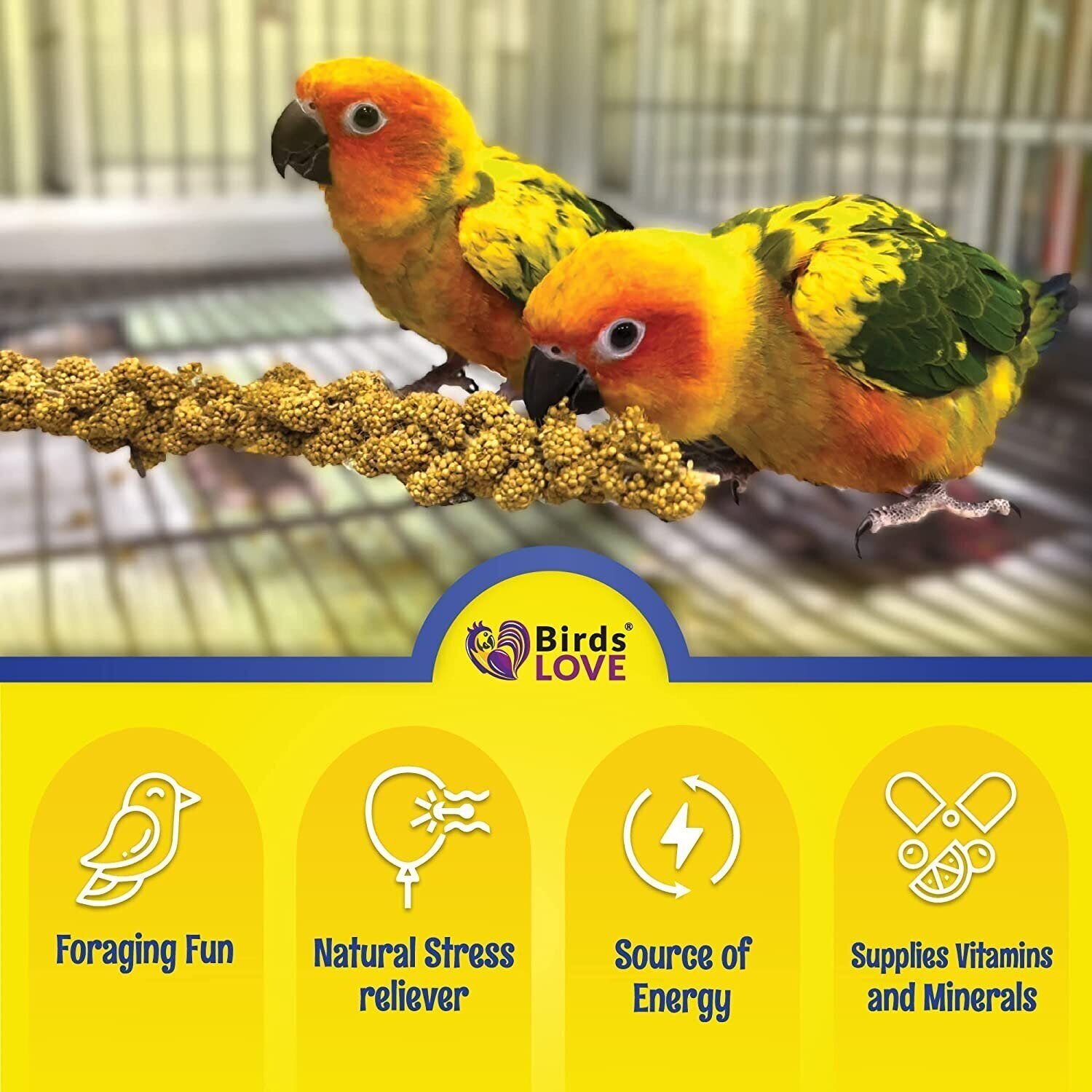 Birds LOVE Economy & Thin Millet Spray For Parrot Finch Canary GMOFree