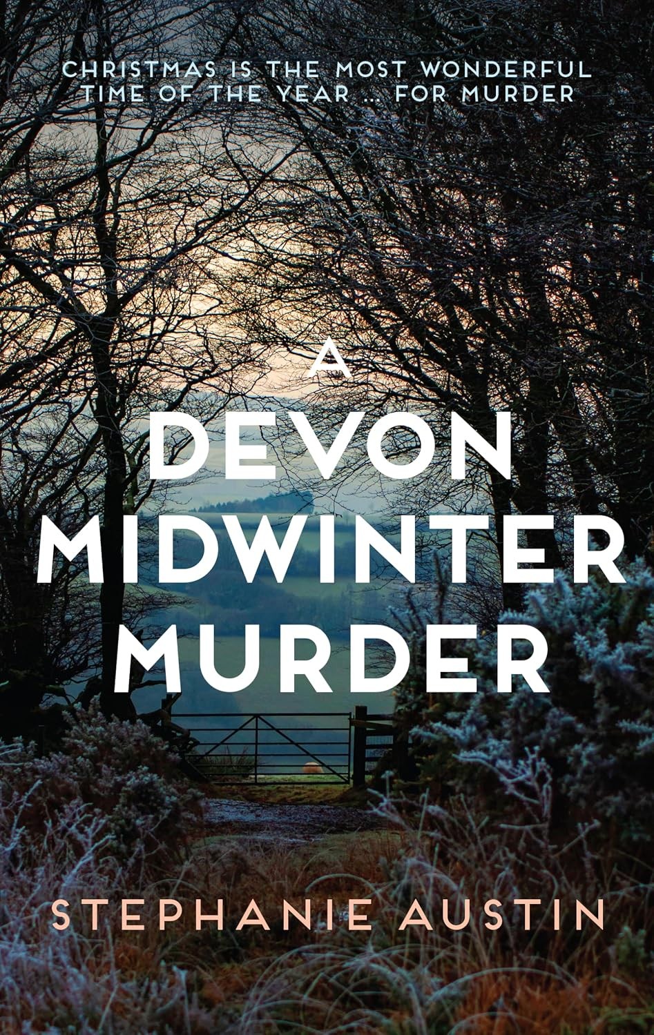 A Devon Midwinter Murder: The must-read cosy crime series by Stephanie Austin - Image 8