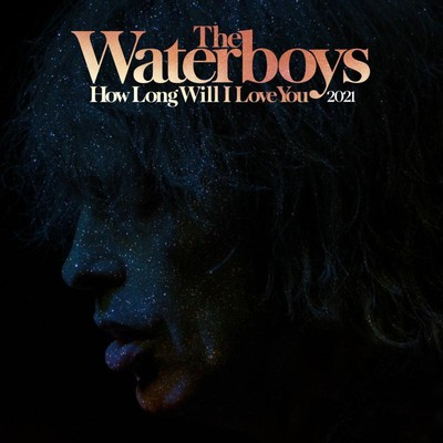 Waterboys How Long Will I Love You 2021 12 Inch Vinyl NEW