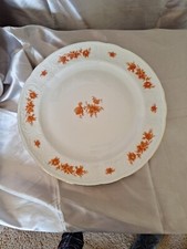 Lovely Vintage Germany Bavaria Seltmann Weiden porcelain Dinner Plate