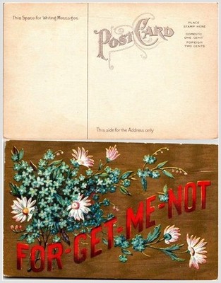 Embossed Floral Postcard c1900 Chromolithograph Forget-Me-Nots & Daisies