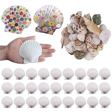 60 PCS Total Natural Seashells Large White Scallop Shells Small Conchs Decor