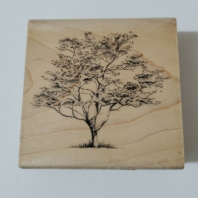 Inkadinkado Rubber Stamp Flowering Dogwood Tree Wood Mount 3'' x 3''