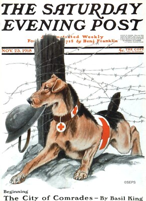 Saturday Evening Post 1918 Cover  Reproduction Giclee Print Red Cross Dog