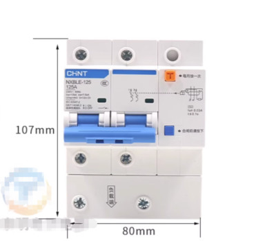 1 PCS New CHINT NXBLE-125 2P 125A Leakage Protector Free Shipping
