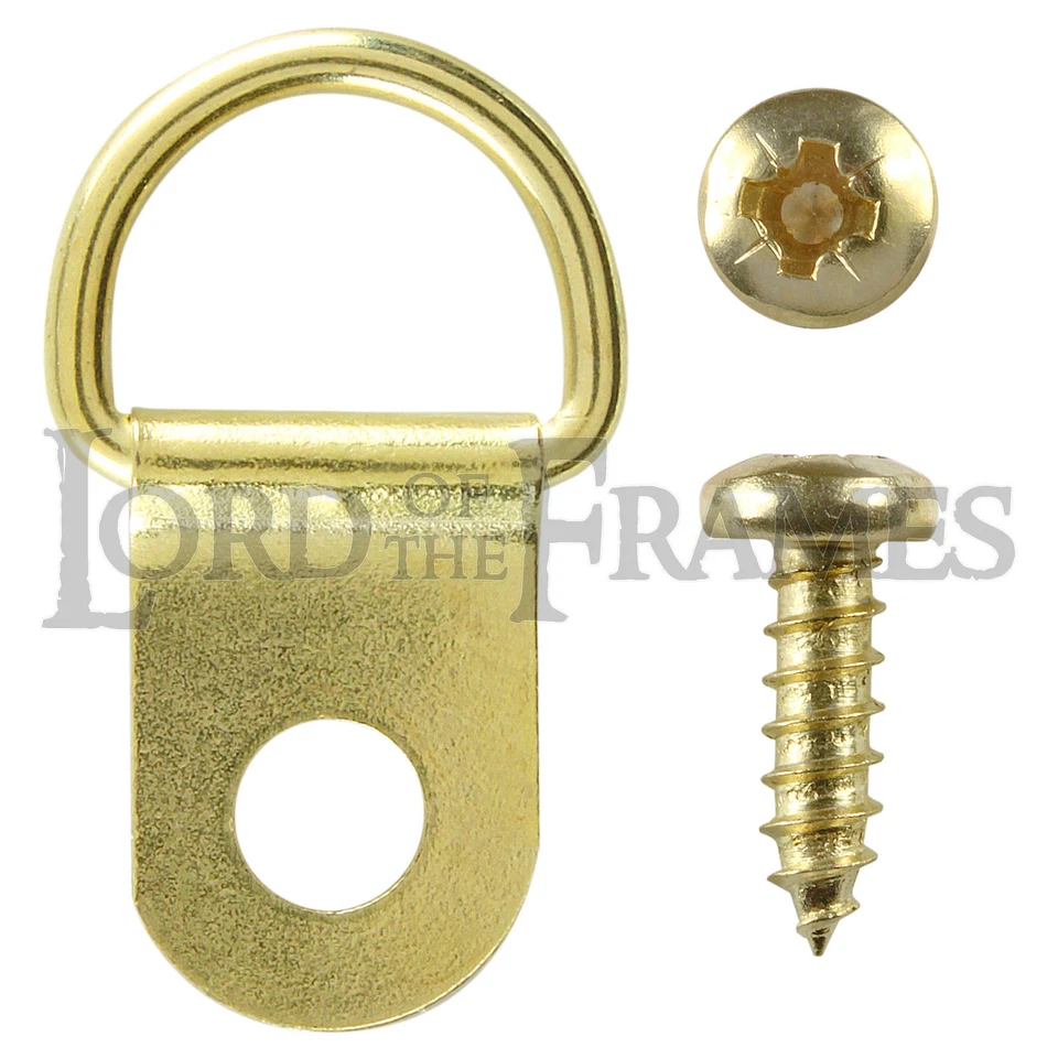 LORD OF THE FRAMES 100 x PEQUEÑOS ANILLOS EN D INDIVIDUALES DE LATÓN TORNILLOS LIBRES 22x12 mm marco de fotos lienzo de fotos