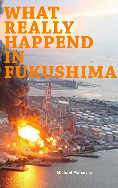 Michael Marcovici | What Really Happened In Fukushima | Taschenbuch | Englisch-image