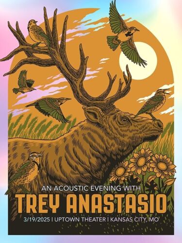 OFFICIAL Trey Anastasio Acoustic RAINBOW FOIL AP POSTER Kansas City MO 2025 #/25 - Picture 7 of 7