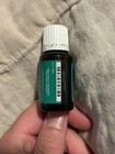 New Young Living EUCALYPTUS RADIATA 15mL Essential Oil — photo 2
