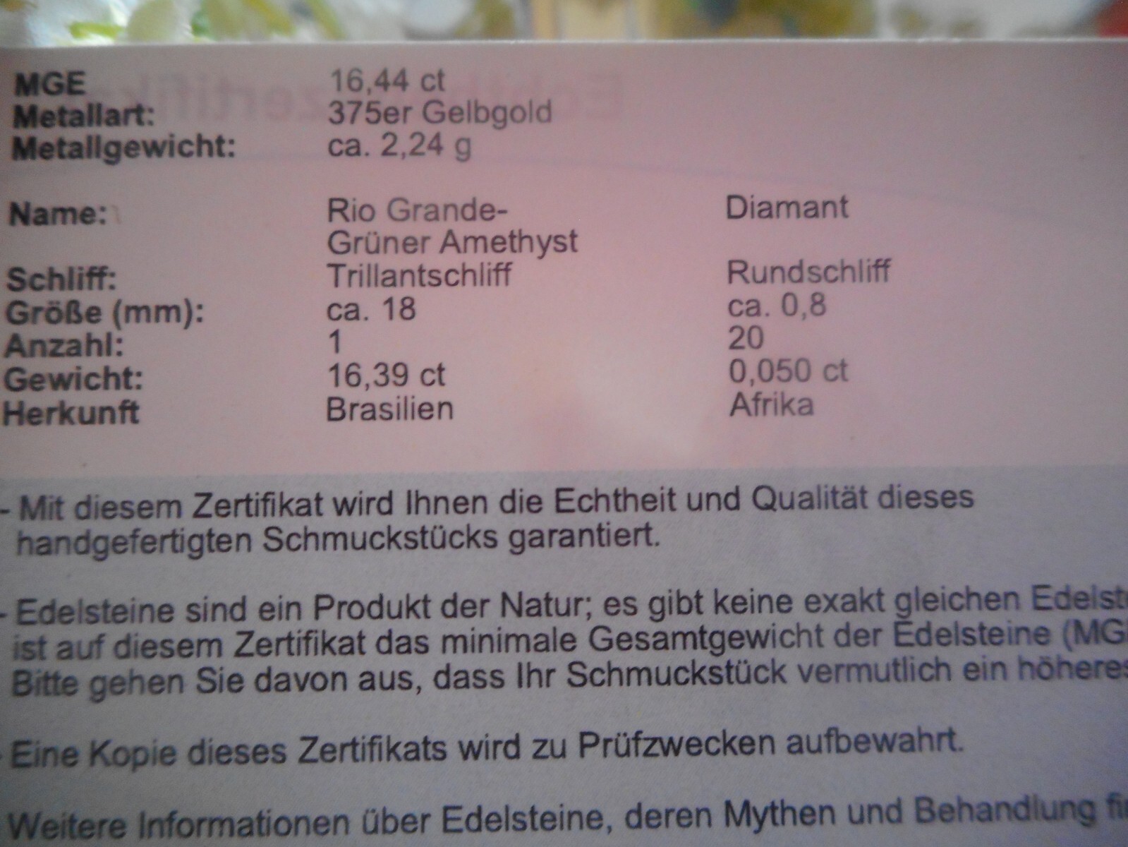 Bild 5 von 12