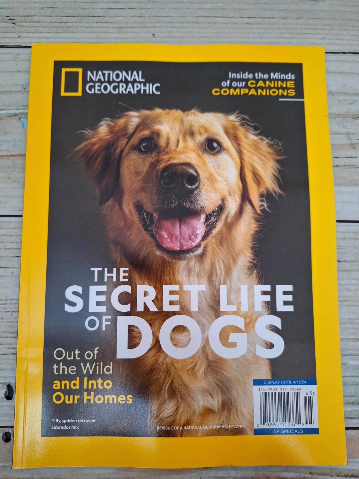 National Geographic Magazine April 2024 the Secret Life of Dogs Out of