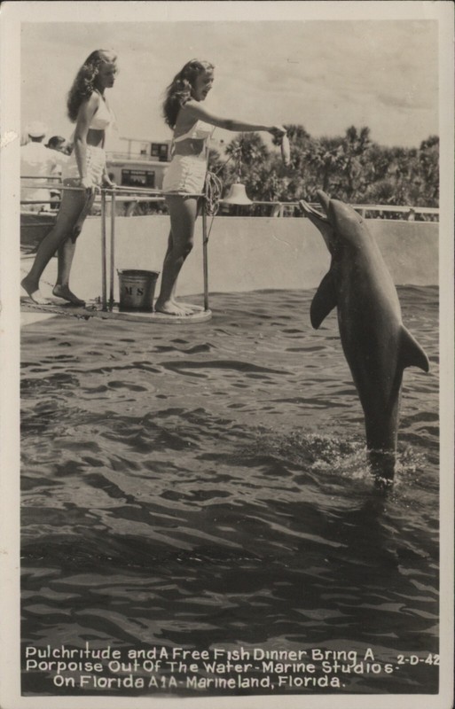 SALE!  2 RPPC 1940 Postcards Marine Studios Marineland Florida Feeding Porpoises